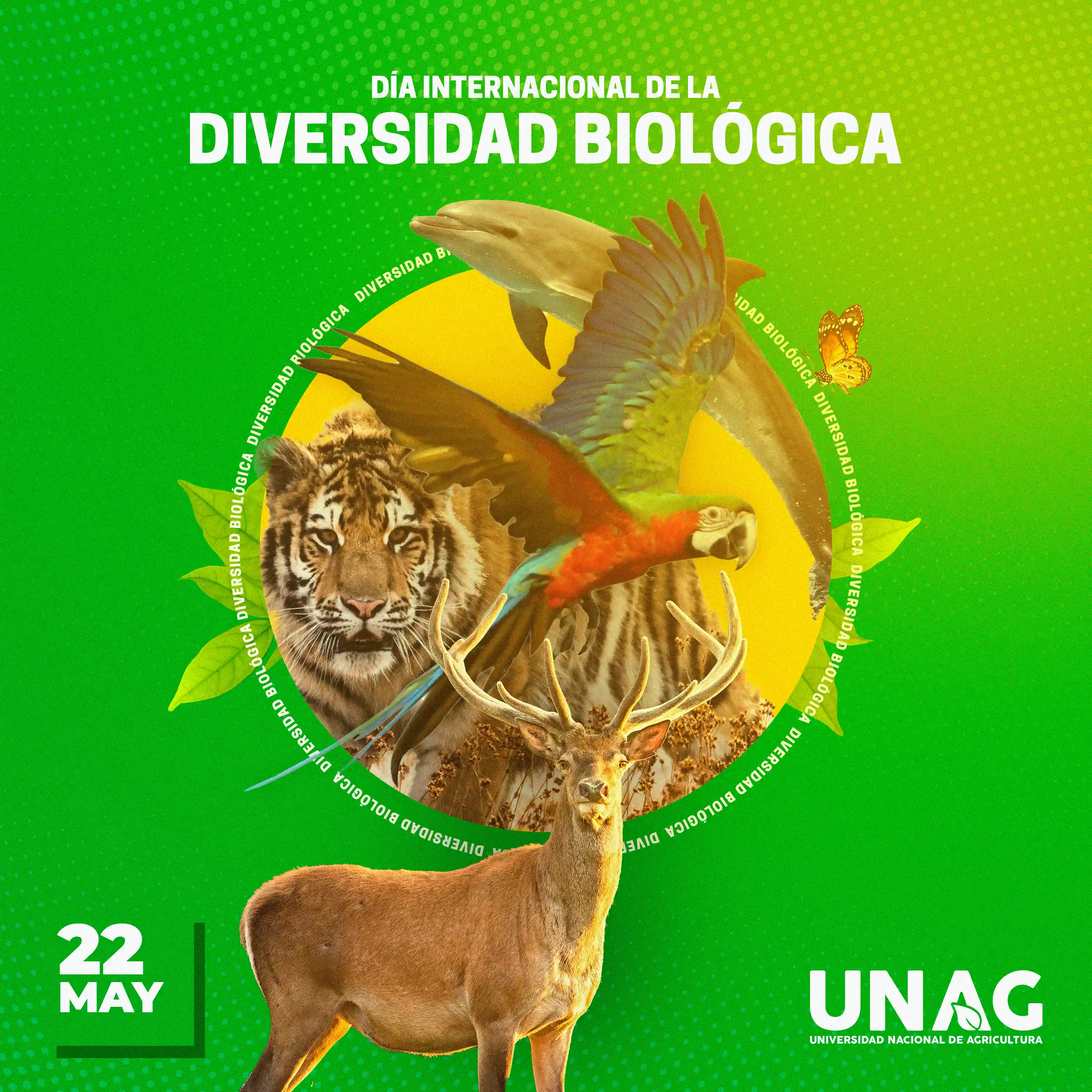 Post Día Internacional de la Diversidad Biológica - UNAG